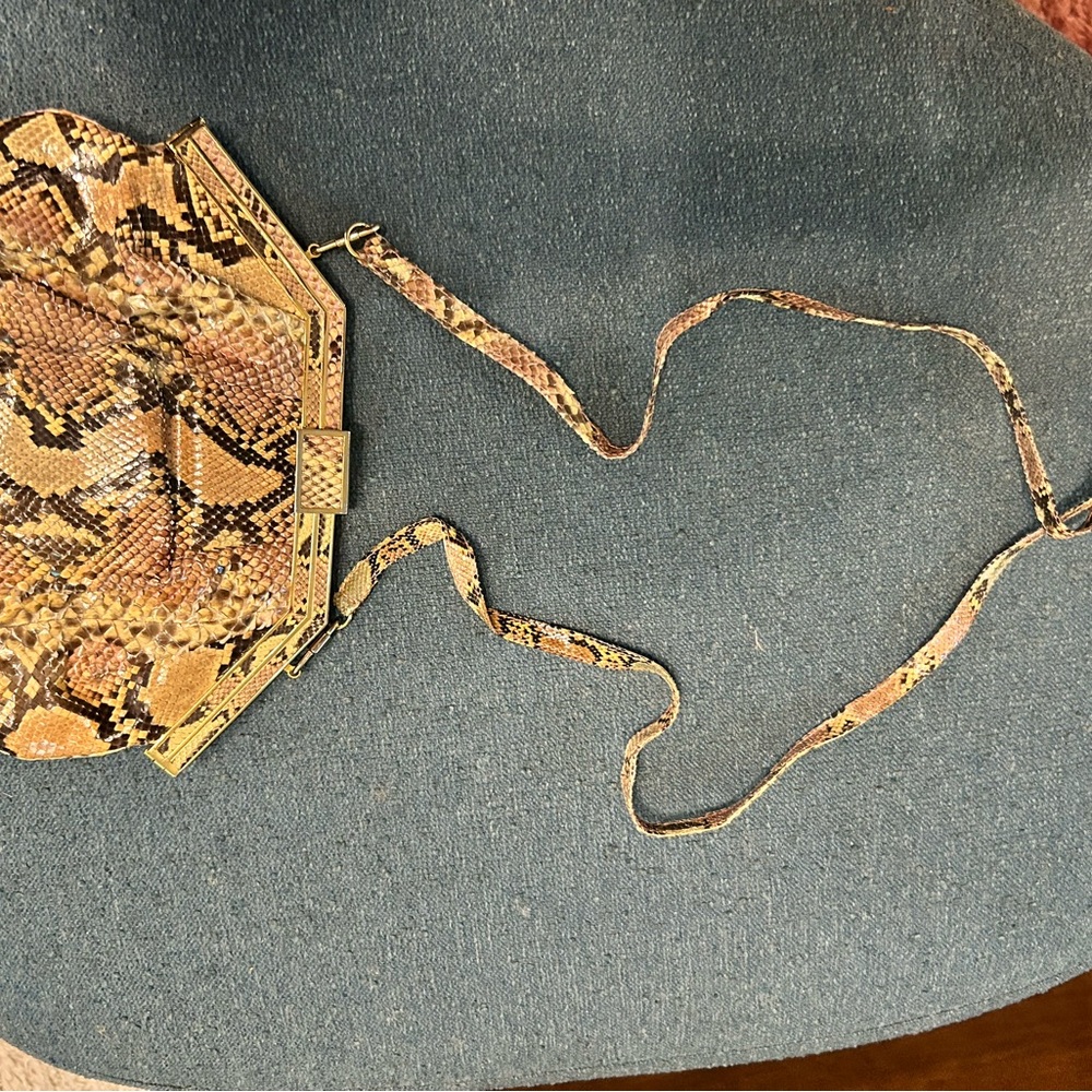 Exquisite Vintage Python Clutch - Picture 7 of 8
